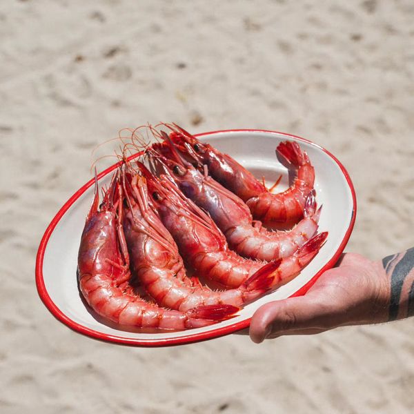 Gamba roja de la lonja, servida en la playa